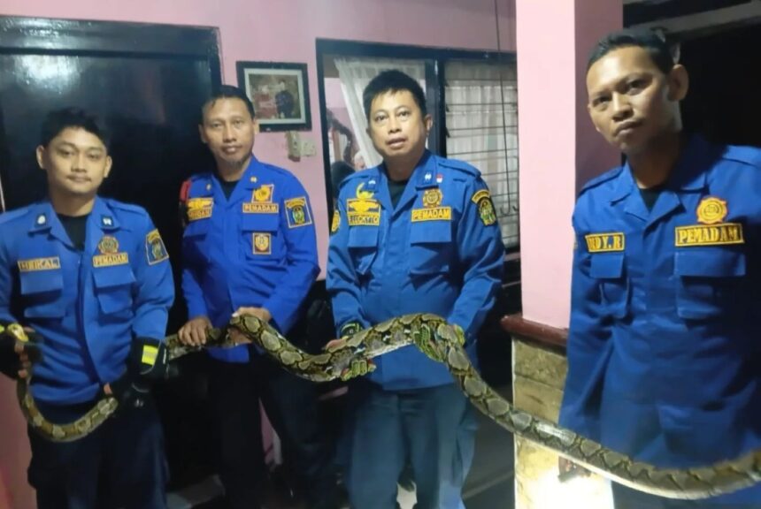 Four men in blue rescue uniforms indoors, holding a long snake together across a railing.